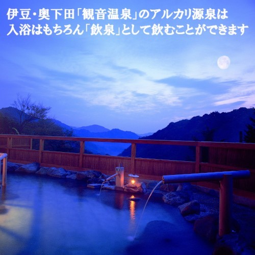 【滝野川自動車】飲む温泉 観音温泉2リットル 6本入 商品画像(5)